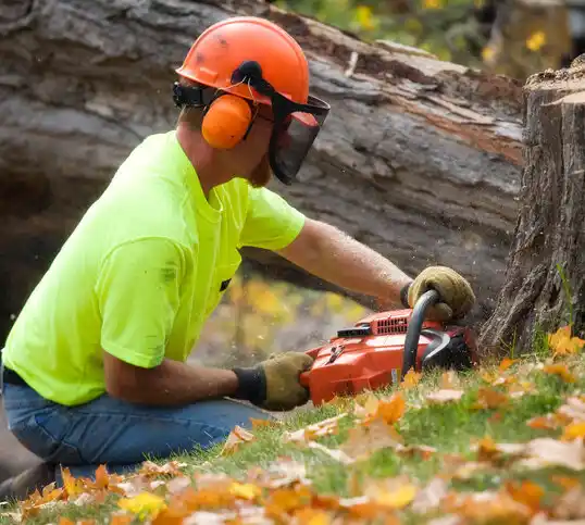 tree services Rice Lake